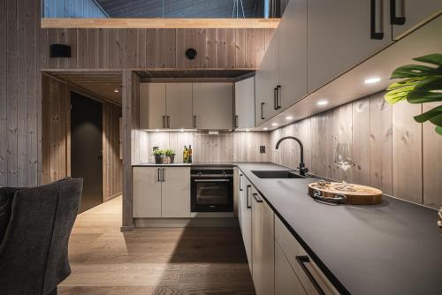 Penthouse with large rooftop terrace, Ski In-Ski Out in Hemsedal in Hemsedal