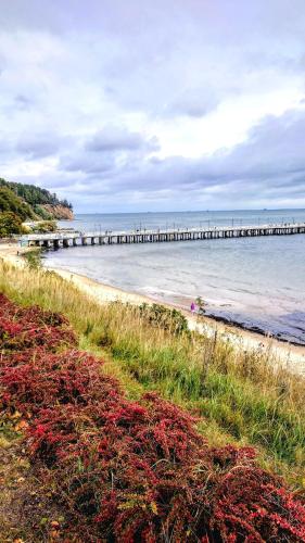Atrakcje w pobliżu, Willa Akacja Bed & Breakfast - Gdynia Orlowo in Gdynia
