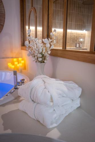 ג'קוזי, Cocoon - Romantic suite with spa - Downtown in Pontarlier