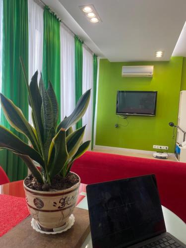 Designer studio with a view of the right bank, Kiev (foto 7)