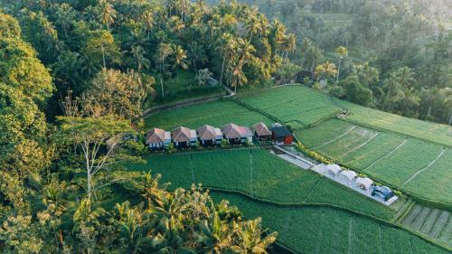 Eco Oasis Wooden Villa Ubud