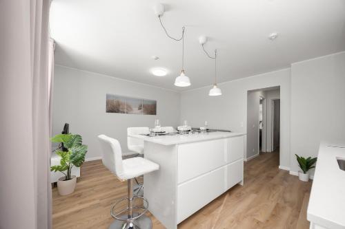 Toompea 2 bedroom Apartment in Kassisaba