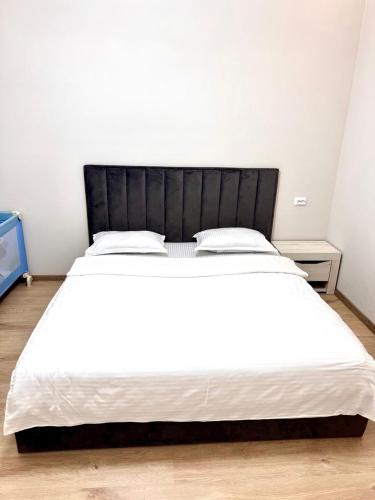 Alau, 3-Room Apartments 323,5, Astana (foto 6)
