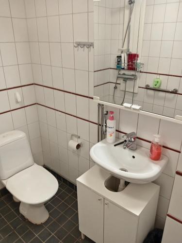 Private room in shared appartment, Helsinki (photo 10)