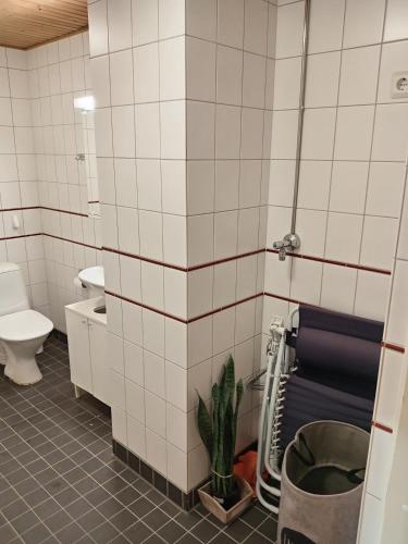 Private room in shared appartment, Helsinki (photo 9)
