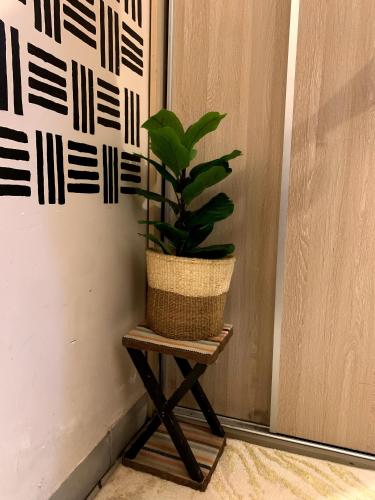 The Nest Studio Apartment - image 3