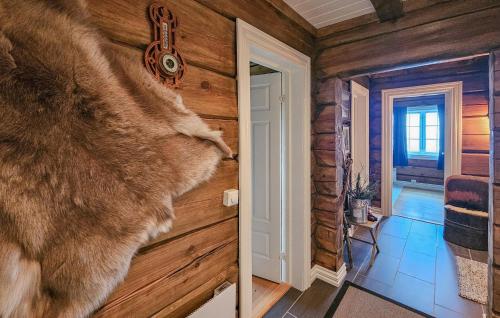 Viesnīcas āriene, Cozy Home In Rauland With Wifi in Torvetjorn