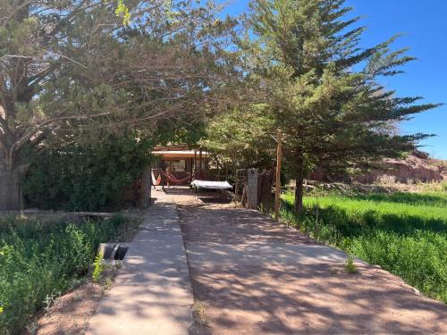 Hostal Piedrita De Rio — hostel in Av. Pukara Lote 83, Ayllu de Quitor, San Pedro De Atacama CL, 1410000