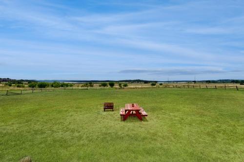 Canyon Lake Getaway & Texas Living in Canyon Lake, USA