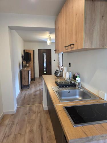 Gładkie Apartamenty, Zakopane (fotografie 5)