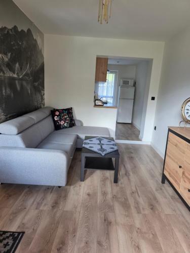 Gładkie Apartamenty, Zakopane (fotografie 6)