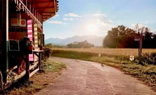 Chill in Pai, Pai