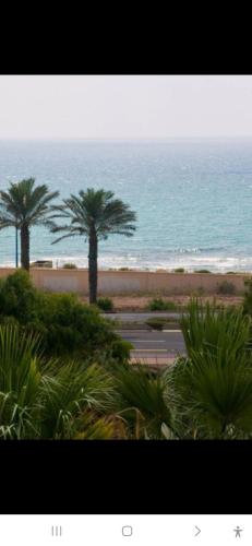 Charming beach 2 room flat in คาร์เมล บีช ฟรอนต์