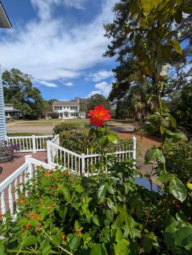 Cozy, Cute, Private Ozark Suite 5 Mins to Hospital in Ozark (AL)