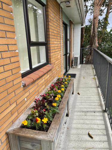 Sunny Tidy Corner in Ellerslie, Auckland (fotografie 11)