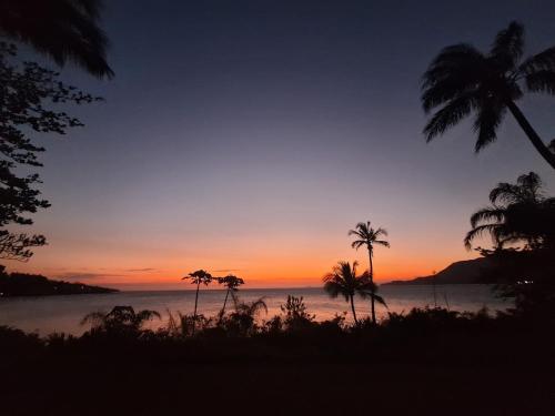 Ame a Ilha mais Bela - banheiro conceito - 150m da praia vista da mata in Praia do Viana