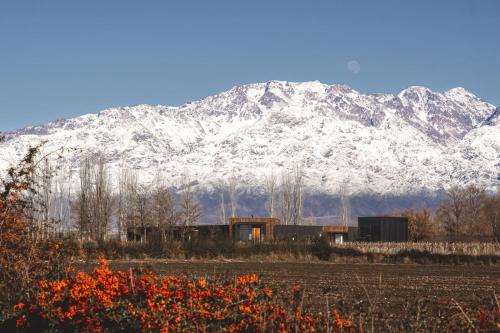 Terra Uco Suites & Viñedos (Terra Uco Suites & Vinedos) in Vista Flores