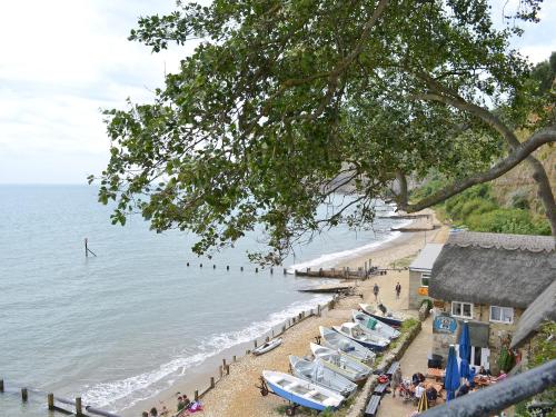 Chine Bluff, Shanklin (foto 7)