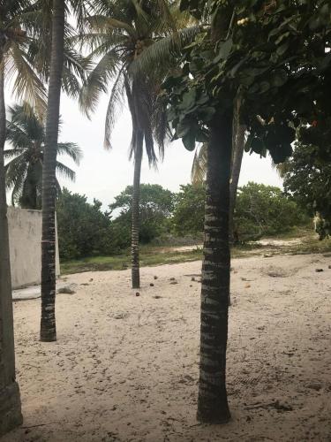 Casita Azul del mar, sencilla con fresca brisa in Chuburná