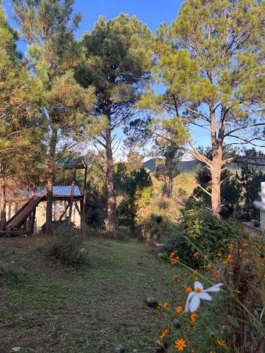 Terrazas del Pinar, Loft con pileta exclusiva en bosque serrano