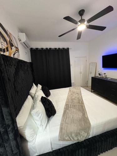 Oasis at the Towers Classy 1 bdroom, Kingston (foto 3)