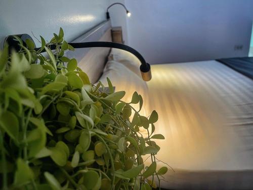 Hanoi EcoStay 2 hostel, Hanoi