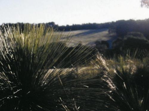 ヒルトップ ストゥデイオズ