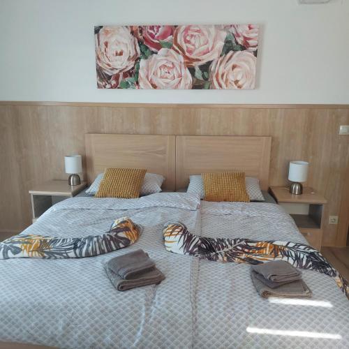 Sobe Nobiles in 渣加廸