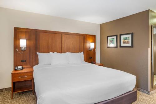 1 king bed