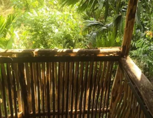 Ambiente nas Imediações, PNGFE Nagu Home-stay & Tours in Kokopo