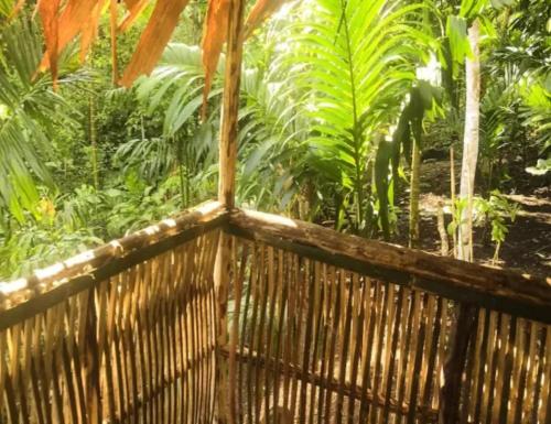 Ambiente nas Imediações, PNGFE Nagu Home-stay & Tours in Kokopo