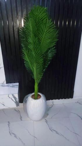 Jade Luxe 2 Bedroom Apartment in Agbor