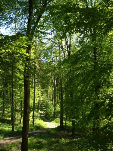 Ferienwohnung Neuhuber-Rosifka in Bad Goisern
