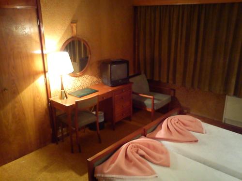 Standard Double or Twin Room image 4