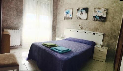 Hostal Sol Naciente - image 6