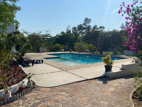 Beautiful traditional style studio - image 2
