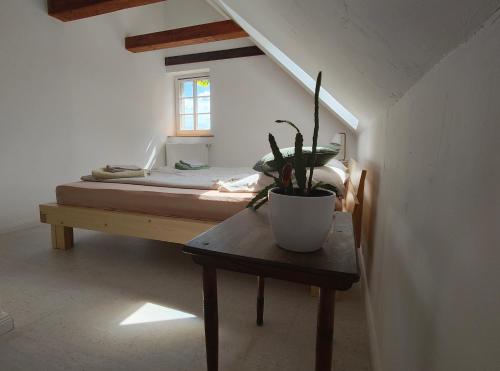 Ferienwohnung Ostermaier, Drážďany (fotografie 6)