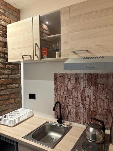 Banija studio apartments in 卡洛瓦克