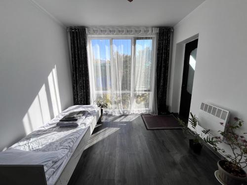 Tiny Stay, Karakol