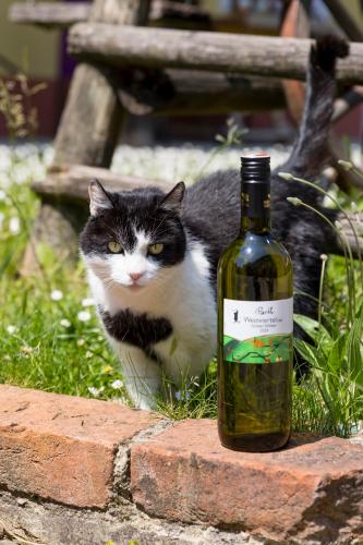 Weingut zur Schlafmütze
