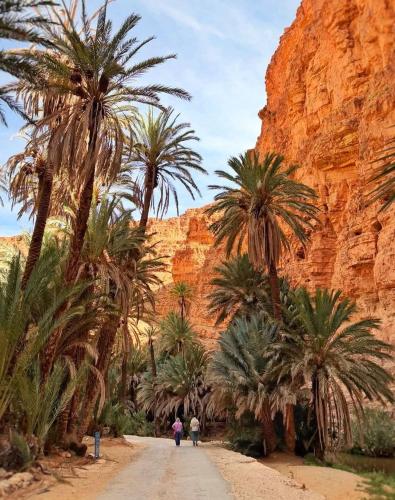 Auberge Kasbah Chez Amaliya – Tafraout, AZ