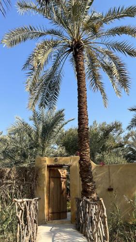 Spellbound in Siwa, Siwa (photo 4)