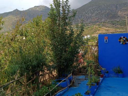 Casa laila - image 4