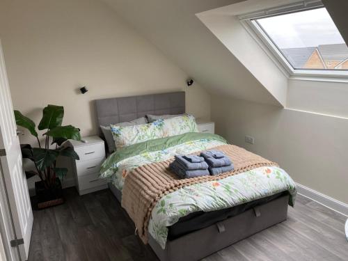 The Cottontail - Modern Private Room With Breakfast - Tamworth in Tamworth
