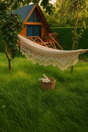 酒店周边, Tasia's Cottage in 曼格利希