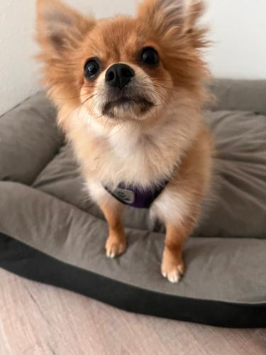 Ferienwohnung Oberheuslingen in 弗羅伊登貝格