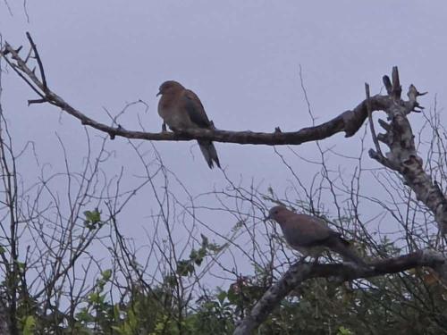 Kasapa Centre Eco Resort in Nyanyanu
