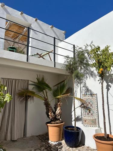 Casa Alamanda Moclin 4
