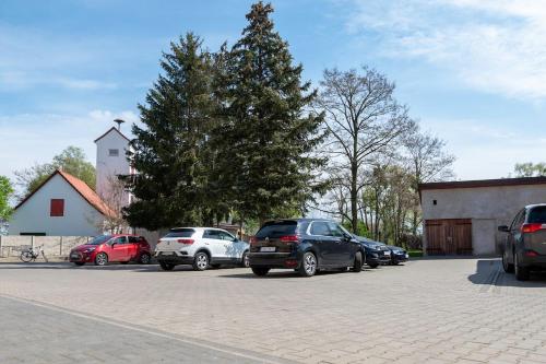 3C 3 Zi Whg 5 Betten 43,41m in Schwedt/Oder, Deutschland