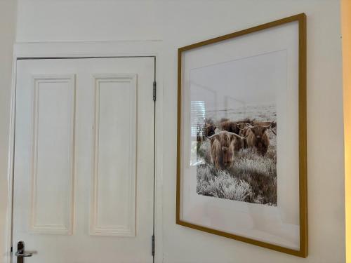 Stylish 1 Bed Edinburgh City Centre Apartment - image 13